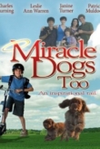 Miracle Dogs Too | ShotOnWhat?