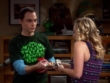 "The Big Bang Theory" The Financial Permeability | ShotOnWhat?