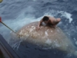 "Deadliest Catch" Man Overboard | ShotOnWhat?