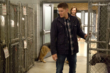 "Supernatural" Dog Dean Afternoon | ShotOnWhat?