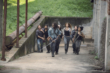 "The Walking Dead" Stradivarius | ShotOnWhat?