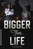 Bigger Than Life | ShotOnWhat?