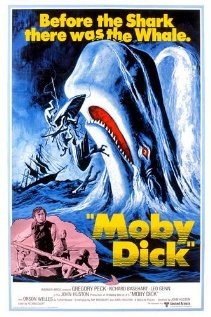 Moby Dick Technical Specifications