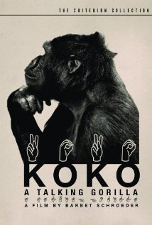 Koko, a Talking Gorilla Technical Specifications