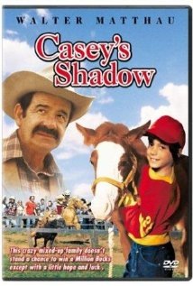 Casey’s Shadow Technical Specifications
