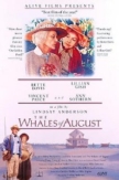 The Whales of August | ShotOnWhat?