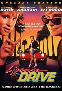 License to Drive Technical Specifications