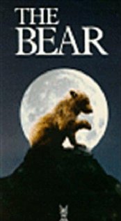 The Bear