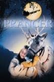 Prancer | ShotOnWhat?