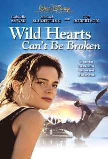 Wild Hearts Can’t Be Broken Technical Specifications