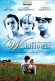 Wildflower | ShotOnWhat?