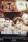 Animal Factory | ShotOnWhat?