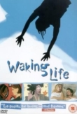 Waking Life | ShotOnWhat?