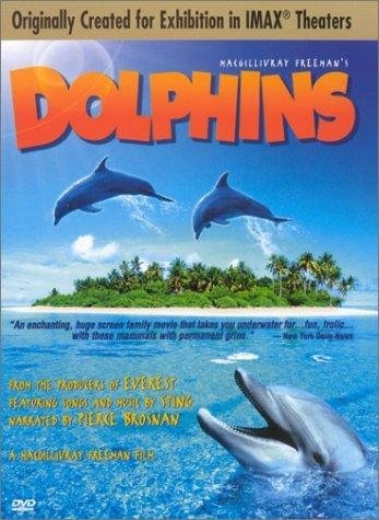 Dolphins Technical Specifications