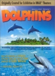 Dolphins | ShotOnWhat?