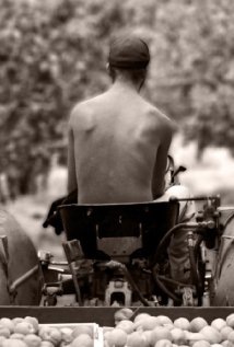 Last Thoughts Technical Specifications