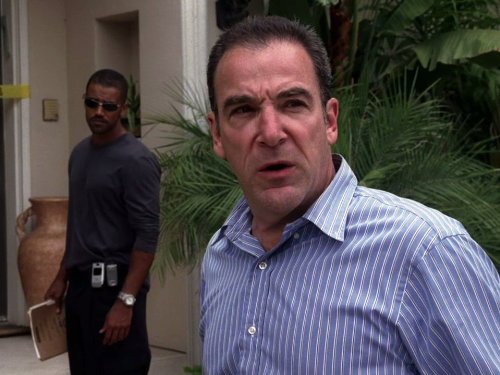 "Criminal Minds" Plain Sight