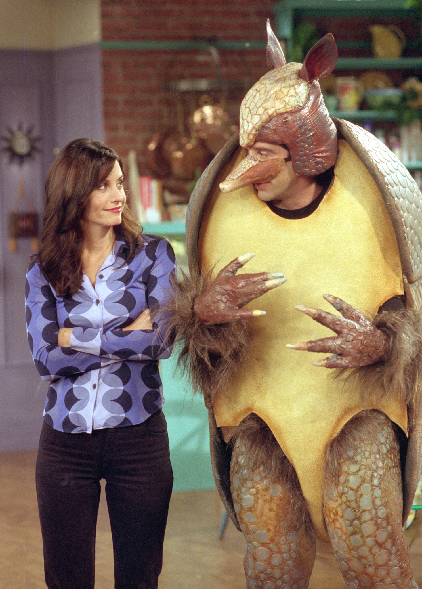 "Friends" The One with the Holiday Armadillo