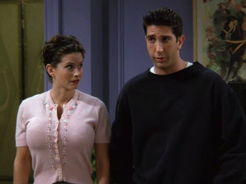 &quot;Friends&quot; The One with the Metaphorical Tunnel