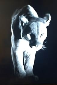 "Rawhide" Incident of the Stalking Death Technical Specifications