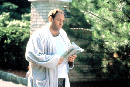 "The Sopranos" Guy Walks Into a Psychiatrist’s Office Technical Specifications