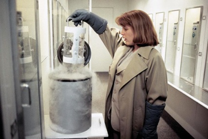 "The X-Files" The Erlenmeyer Flask Technical Specifications