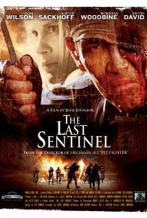 The Last Sentinel Technical Specifications