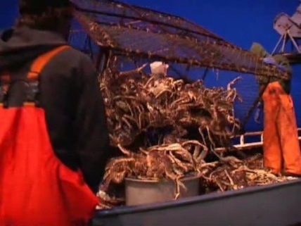 "Deadliest Catch" Friends and Rivals Technical Specifications