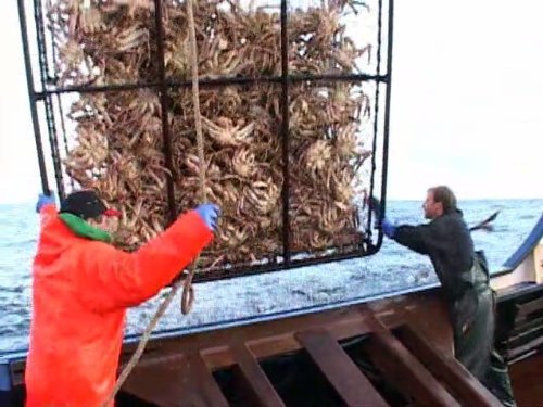 &quot;Deadliest Catch&quot; On the Crab