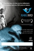 Rare Bird | ShotOnWhat?