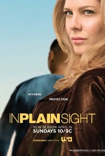 In Plain Sight Technical Specifications