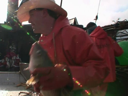 "Deadliest Catch" Pain and Paybacks