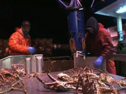 "Deadliest Catch" Cheating Death Technical Specifications