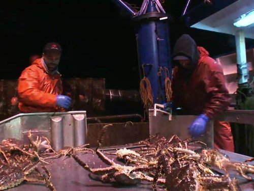 "Deadliest Catch" Cheating Death