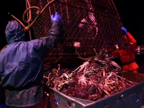 "Deadliest Catch" Bering Sea Salvation