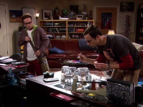 "The Big Bang Theory" The Luminous Fish Effect