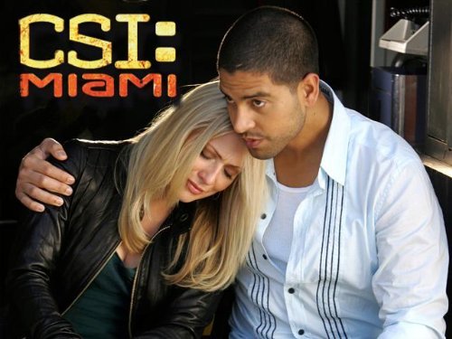 &quot;CSI: Miami&quot; Stand Your Ground