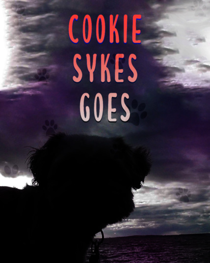 Cookie Sykes Goes Technical Specifications