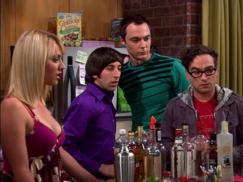 "The Big Bang Theory" The Grasshopper Experiment