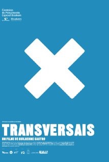 Transversais Technical Specifications