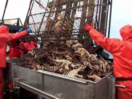 "Deadliest Catch" No Season for Old Men Technical Specifications