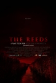 The Reeds | ShotOnWhat?