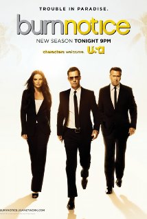 &quot;Burn Notice&quot; Partners in Crime