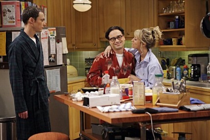 "The Big Bang Theory" The Gothowitz Deviation Technical Specifications