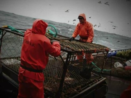 "Deadliest Catch" Sea Tested Technical Specifications