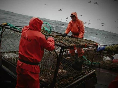 "Deadliest Catch" Sea Tested