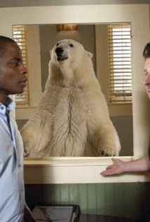 "Psych" Dead Bear Walking Technical Specifications