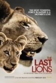 The Last Lions | ShotOnWhat?