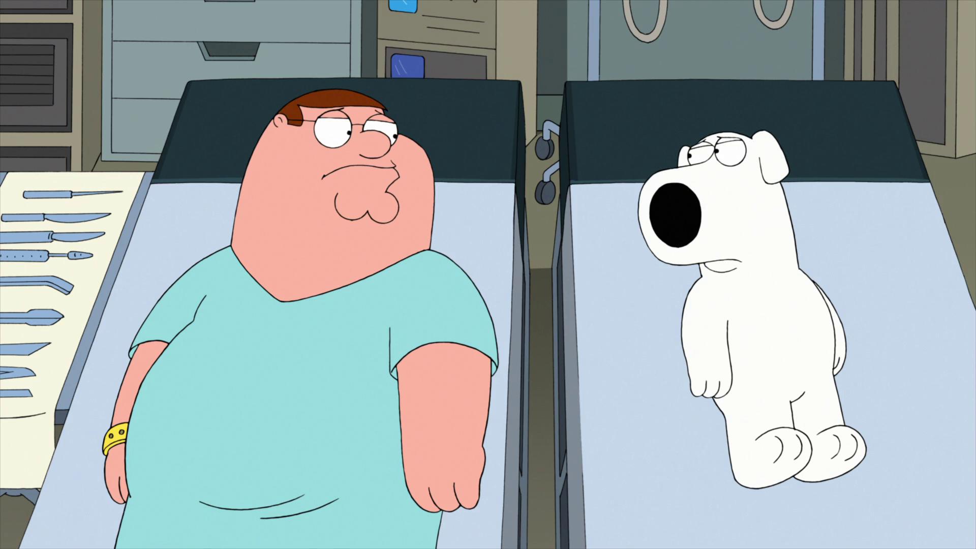 "Family Guy" New Kidney in Town