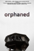 Orphaned | ShotOnWhat?